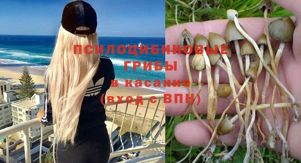 a pvp Алексеевка